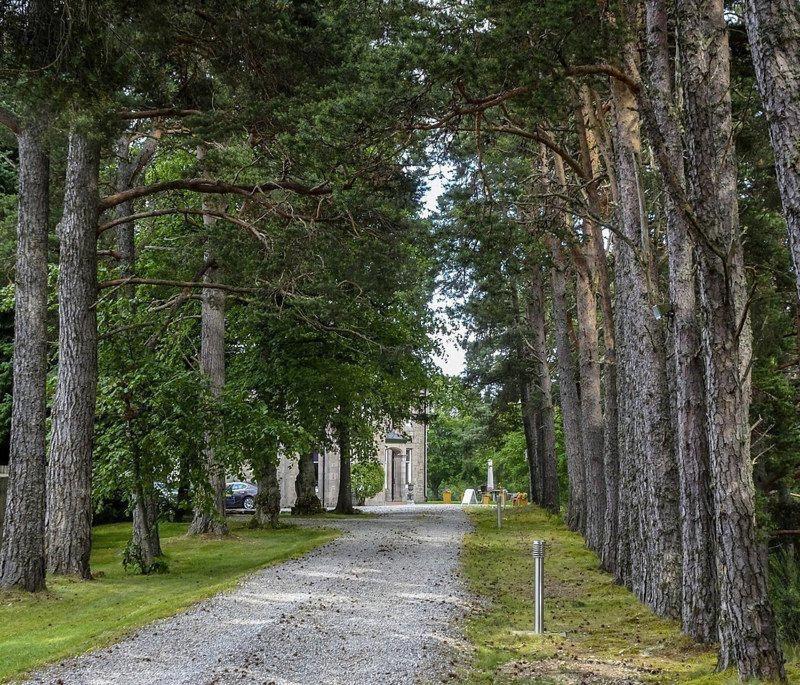Dalrachney Lodge Carrbridge Dış mekan fotoğraf