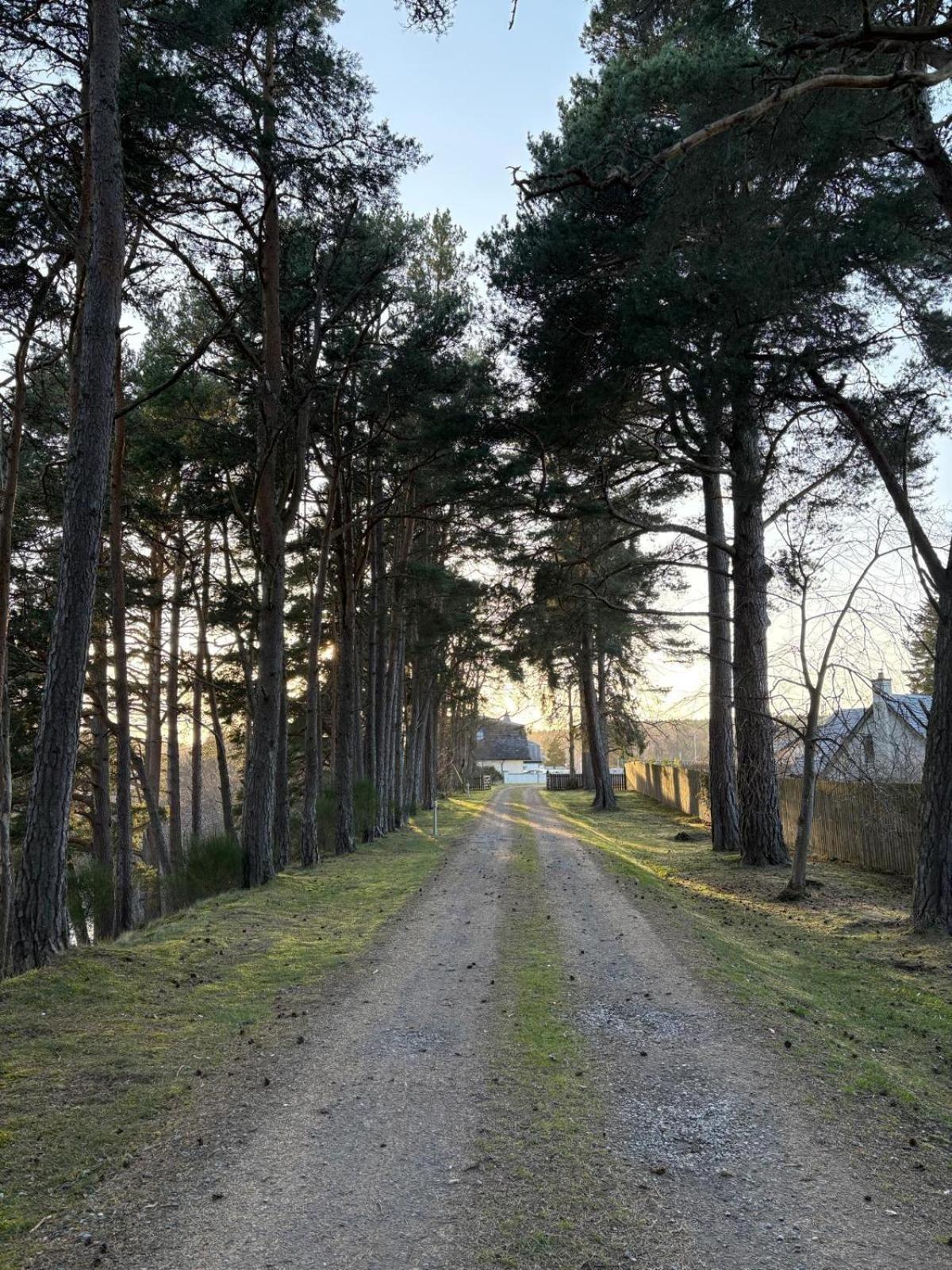 Dalrachney Lodge Carrbridge Dış mekan fotoğraf